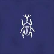 Root  Ager-4 Blue 13x13 Plytelės